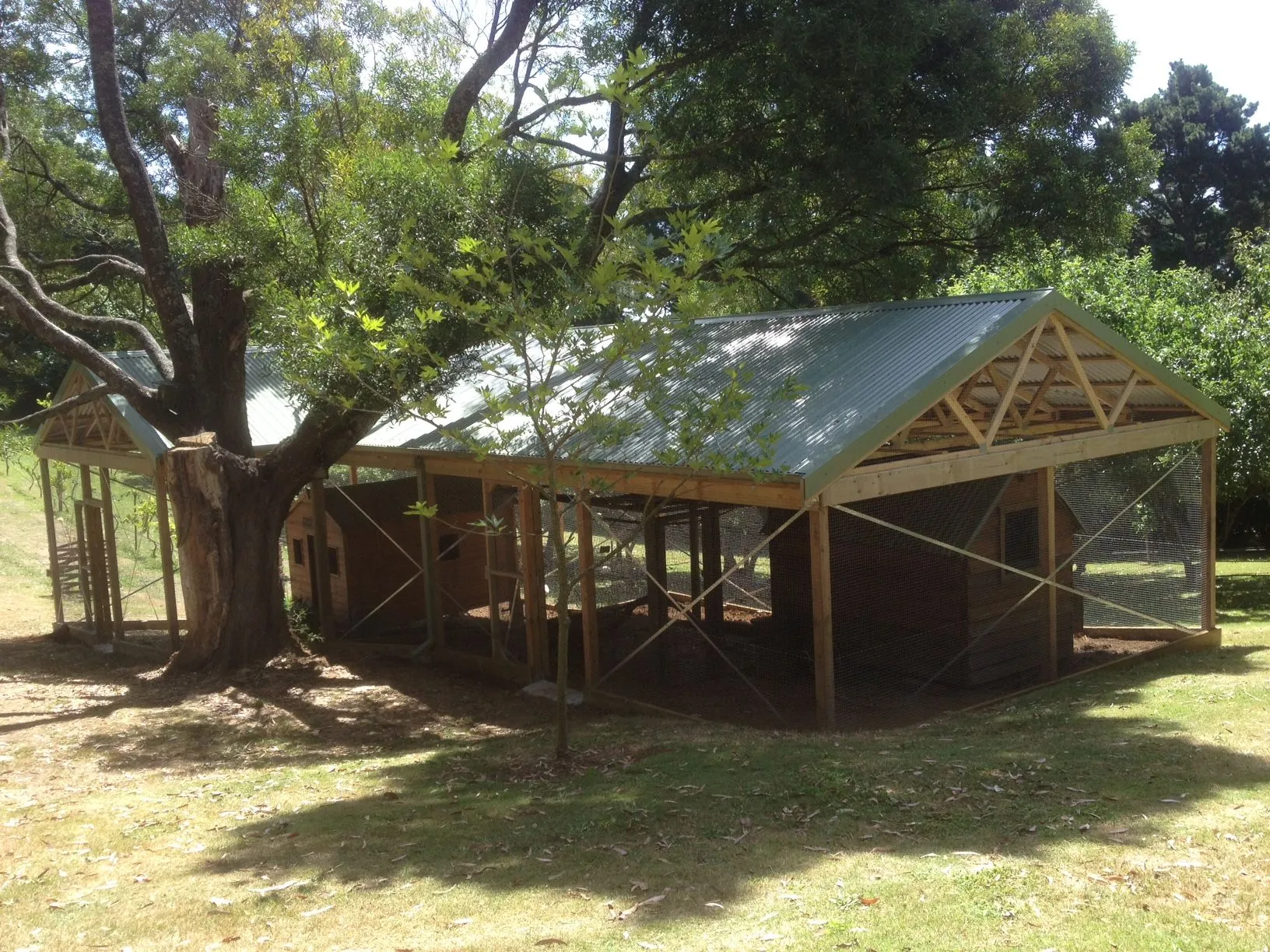 Large animal shelter under the gums