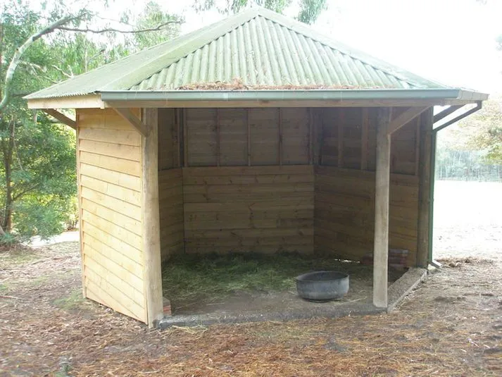 Three-sided animal shelter