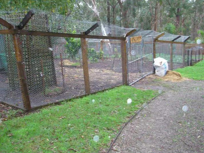 Chook run enclosure