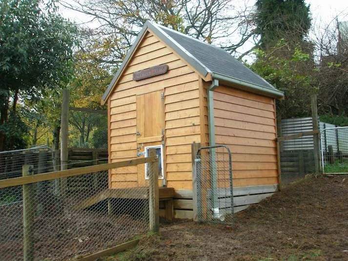 Timber-clad garden shed