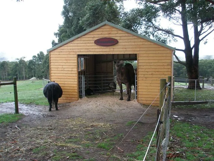 Timber stable