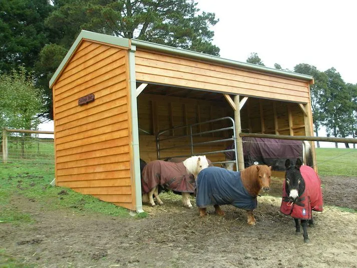 Timber pony shelter