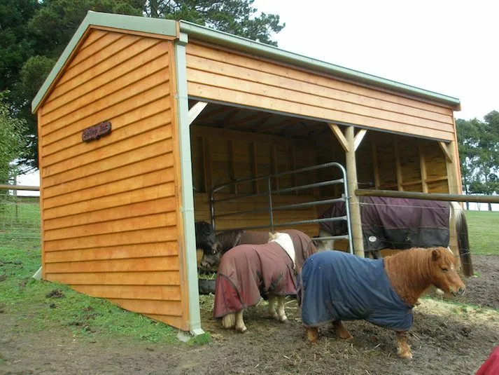 Open-front animal shelter