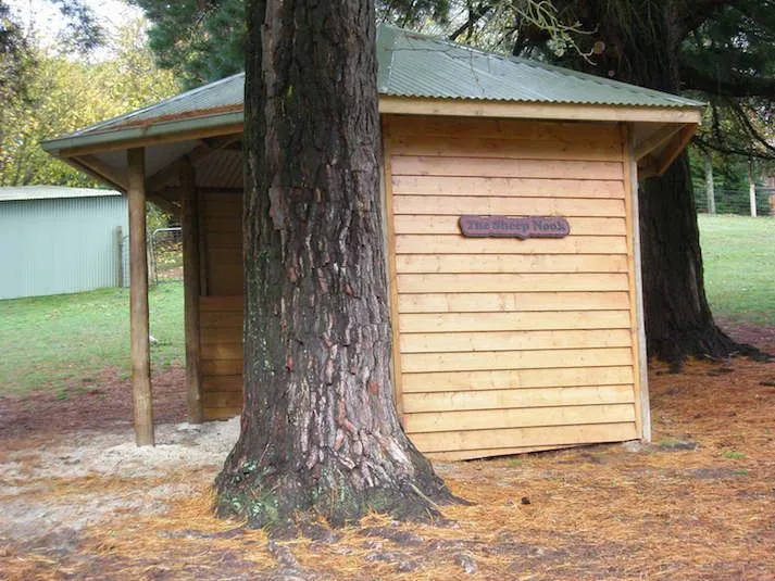 Timber shelter built around a gum tree