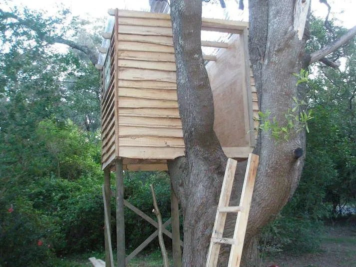 Treehouse build