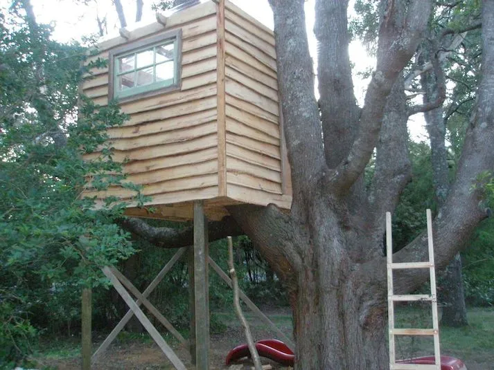 Treehouse with ladder